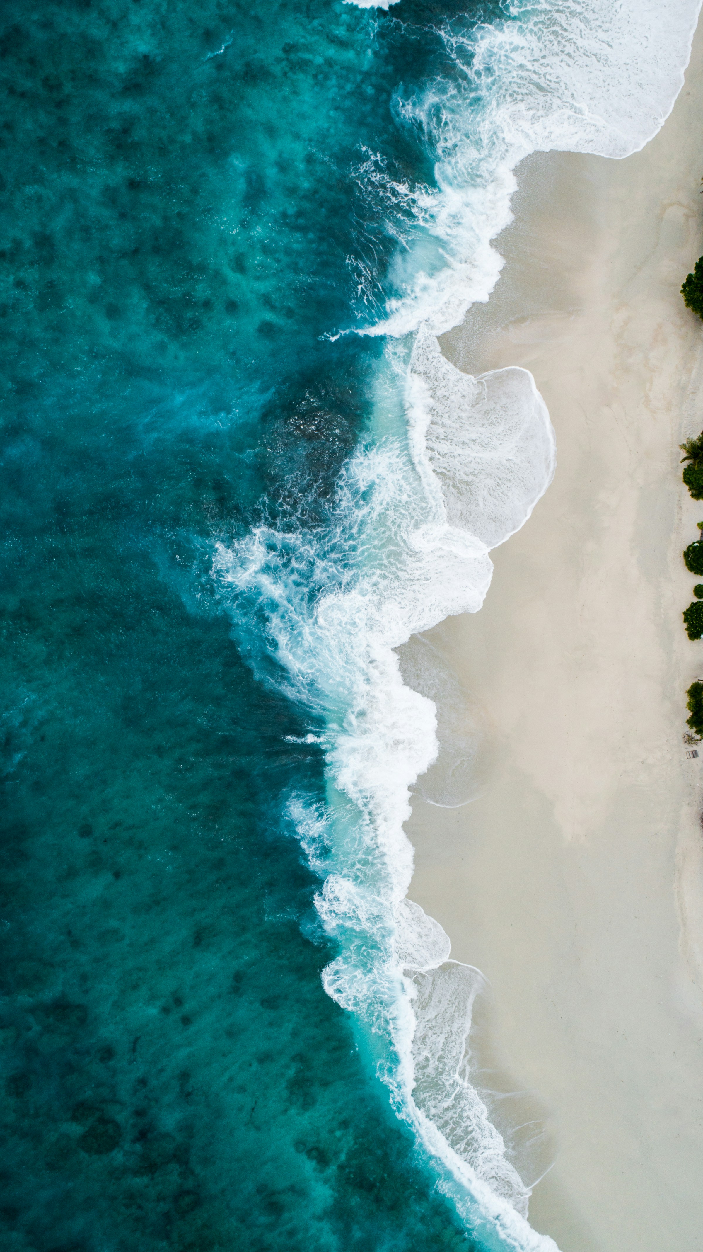 Sea