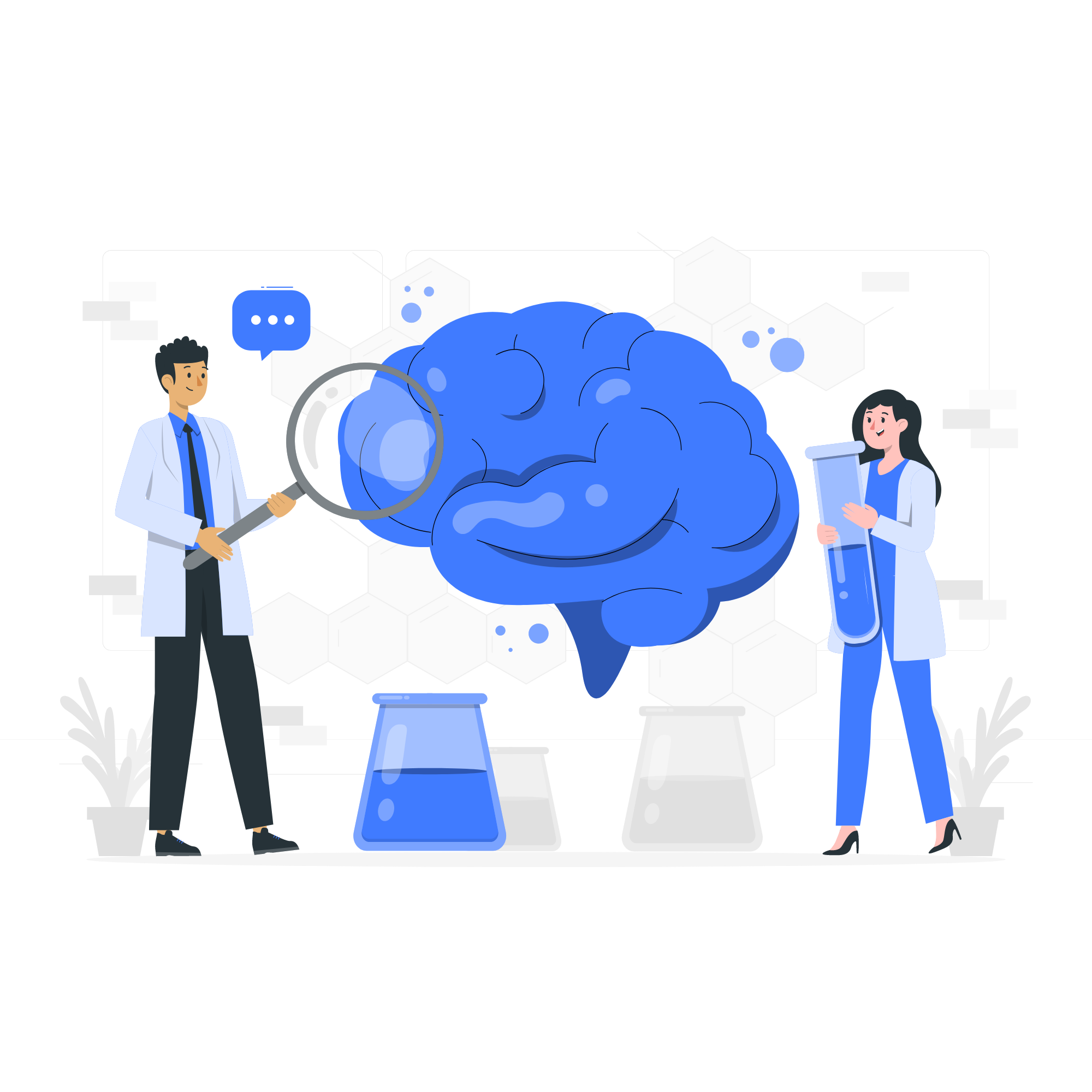brain
